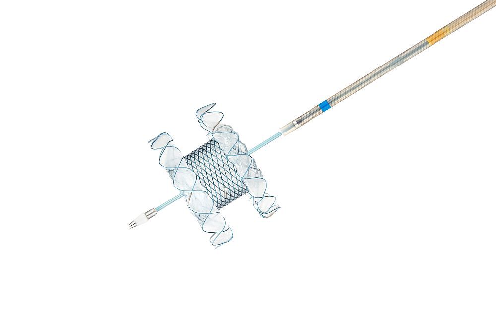 Niti-S Hot SPAXUS™ Stent & Electrocautery Stent Delivery System