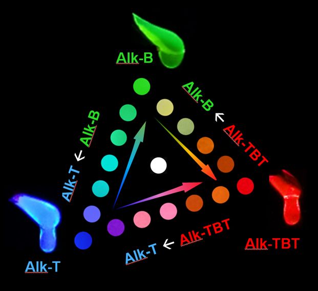 Researchers successfully blended various combinations and proportions of three solvent-free alkyl-π room-temperature liquids that fluoresced red, green, or blue light, with no color variation within the material showing that the alkyl-π liquids had merged evenly. Credit: Image is reproducible by CC-BY license. Please credit the STAM Journal.