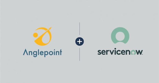 Anglepoint Launches ServiceNow App: IBM Licensing for Software Asset Management