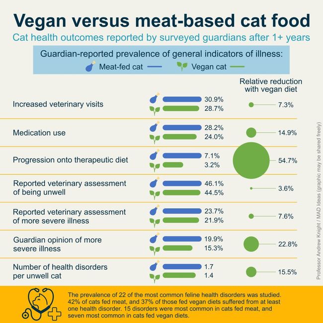 Vegan Cats Challenge Carnivorous Expectations
