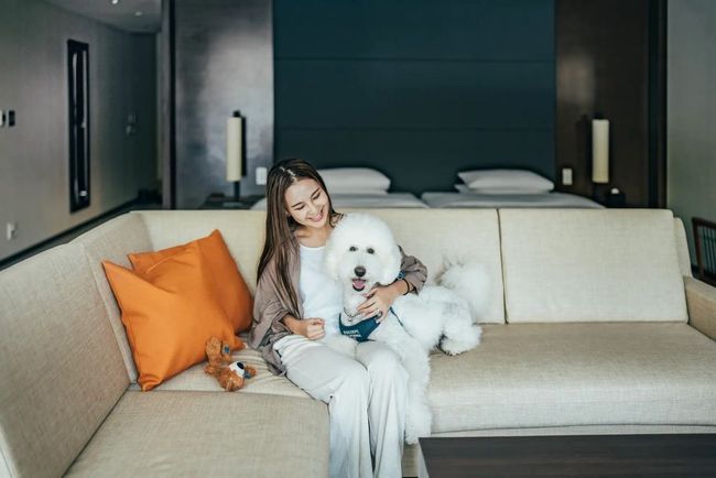 Embrace Wellness with Your Cherished Canine at Hyatt Regency Hakone Resort & Spa