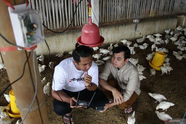 Brawijaya University Lecturer Develops IoT-based Chicken Coop Monitoring System