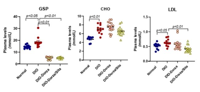 Hua Medicine Announces at 2025 ADA Scientific Sessions that Dorzagliatin Combined with DPP-4 Inhibitor Shows Promise in Reducing Blood Lipids While Restoring Glucose Homeostasis