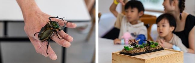 親子暑假激FUN推介！新一代AI保險銷售平台HoldCover呈獻