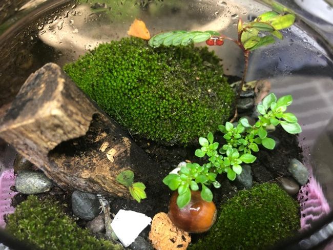 親子暑假激FUN推介！新一代AI保險銷售平台HoldCover呈獻