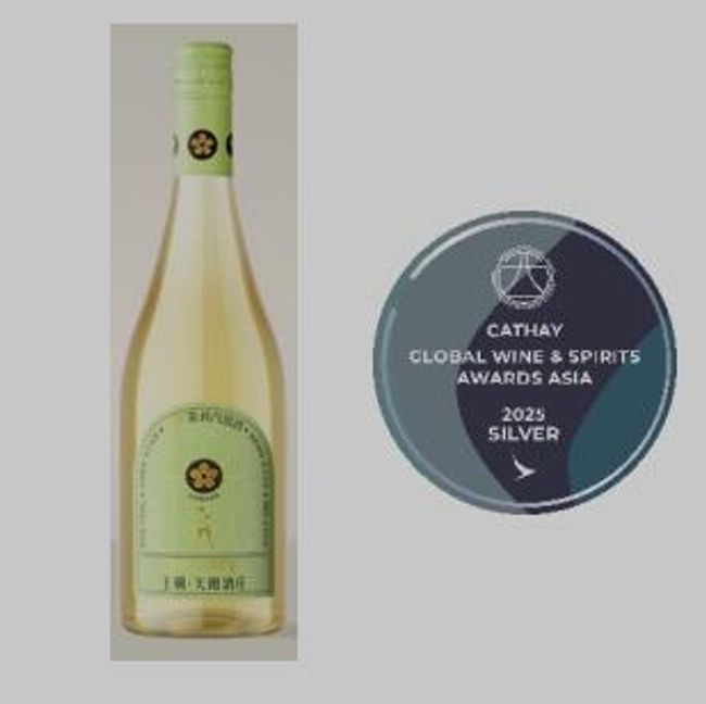 Dynasty Wins Two Silver and One Bronze Medals at 2025 GWSAA