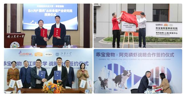 稳居中国宠物食品第一品牌：解码麦富迪护城河如何从