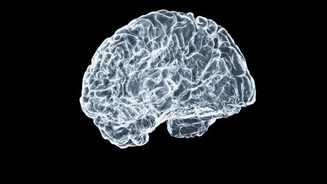 Graphene quantum dots show promise in targeting Parkinson's-related protein clumping