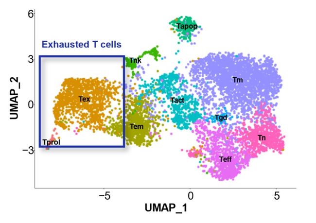 Aichi Cancer Center and NEC Develop an Efficient Method for Identifying Lung Cancer Antigens and Antigen-Specific T Cells