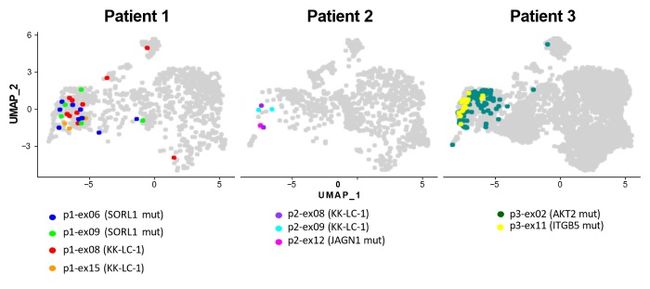 Aichi Cancer Center and NEC Develop an Efficient Method for Identifying Lung Cancer Antigens and Antigen-Specific T Cells