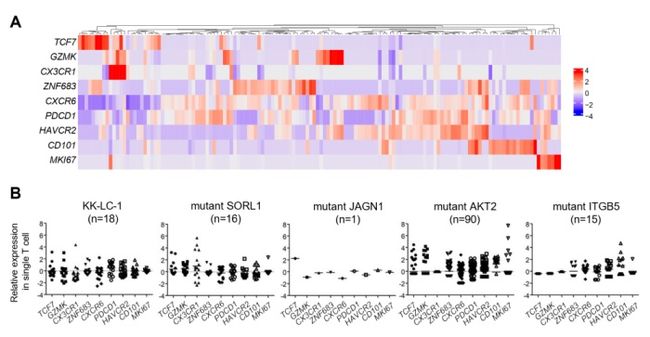 Aichi Cancer Center and NEC Develop an Efficient Method for Identifying Lung Cancer Antigens and Antigen-Specific T Cells