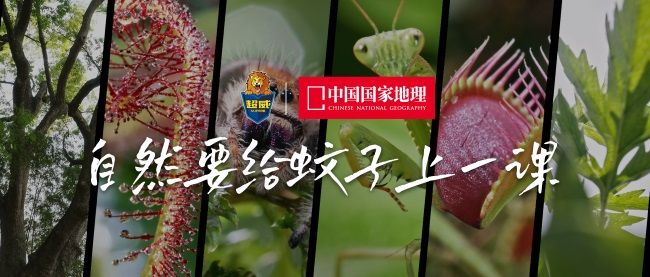 朝雲集團（6601.HK）攜手中國國家地理，傳遞超威品牌驅蚊理念