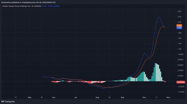 Golden Investment Opportunity For Golden Heaven (GDHG) ? 