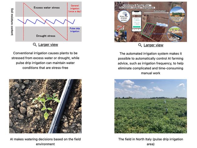 Kagome, NEC and DXAS introduce agricultural ICT platform 