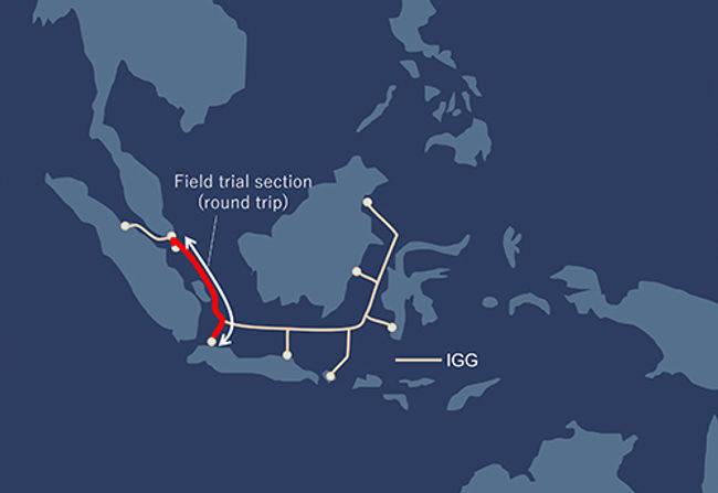 NEC sets record for 800 Gbps long-distance transmission over an optical submarine cable system