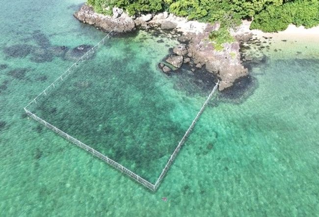 Home of Fujitsu joint conservation project designated as first Nationally Certified Sustainably Managed Natural Site in Okinawa