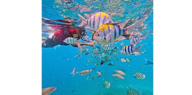 TransNusa Strengthens Domestic Network Connection with New Route Launch and Increased Scheduled Flight Frequency